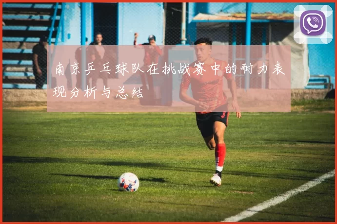 南京乒乓球队在挑战赛中的耐力表现分析与总结