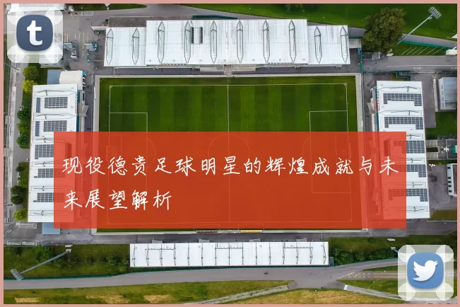 现役德贵足球明星的辉煌成就与未来展望解析