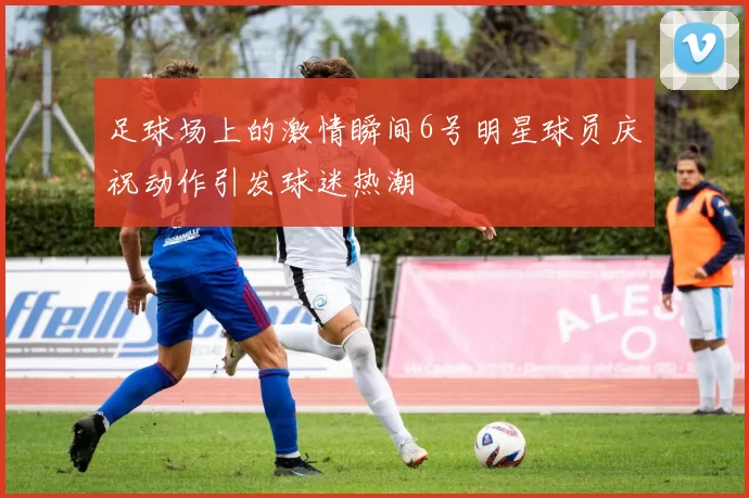 足球场上的激情瞬间6号明星球员庆祝动作引发球迷热潮