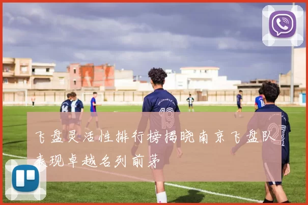 飞盘灵活性排行榜揭晓南京飞盘队表现卓越名列前茅