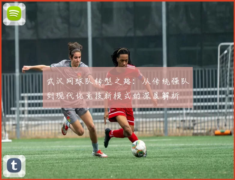 武汉网球队转型之路：从传统强队到现代化竞技新模式的深度解析