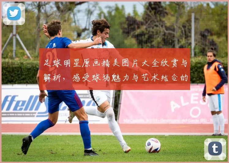 足球明星原画精美图片大全欣赏与解析，感受球场魅力与艺术结合的完美呈现