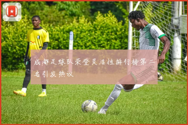 成都足球队荣登灵活性排行榜第二名引发热议