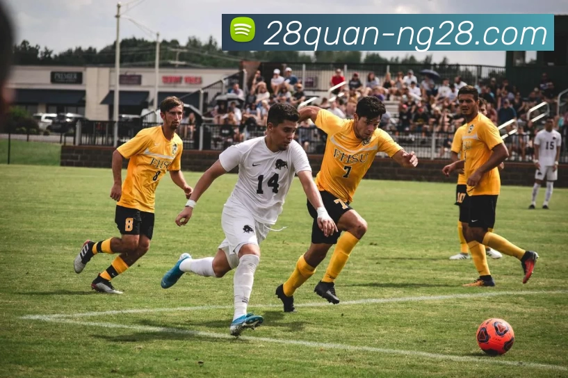 ng28.comAPP 体育赛事宣传图